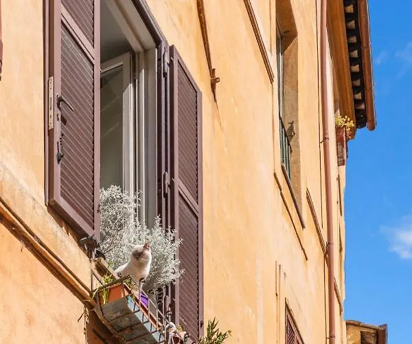 Apartment R.c. Cappellari Charming Campo De Fiori